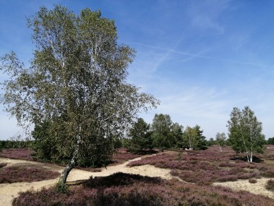 Holiday house Bayer Leuengarten - Environment photo 25