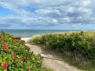 Holiday house Holiday house Solvej - Environment photo 24