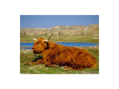 Apartment Studio River - Environment photo 18