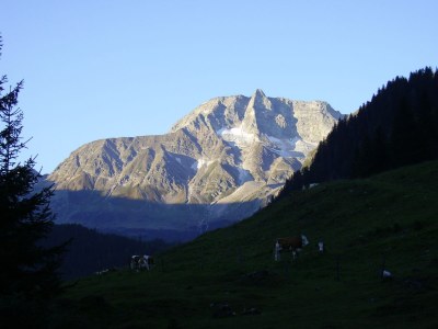 Holiday house Talblickhütte - Environment photo 26
