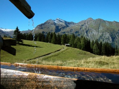 Holiday house Talblickhütte - Environment photo 30