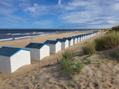 Bungalow Orchismient 24 - Environment photo 22