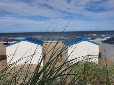 Bungalow Orchismient 24 - Environment photo 23