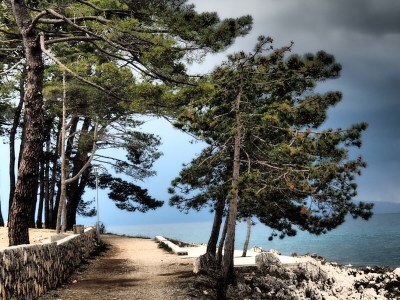 Holiday apartment Milčetić - Environment photo 19