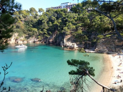 Villa Alegria - Environment photo 27