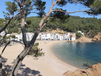 Villa Alegria - Environment photo 28