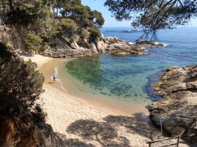 Villa Alegria - Environment photo 29