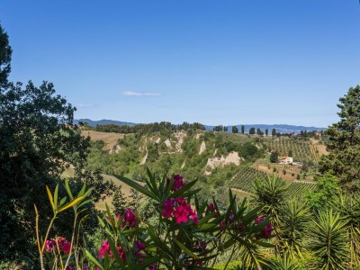 Holiday house Holiday Home in Volterra near Piazza dei Priori - Outdoor photo 16