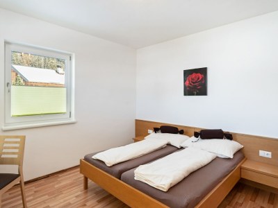 Apartment Apartment in Saalfelden near Ski Slopes - Features photo 14