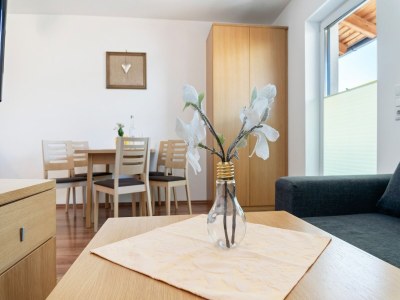 Apartment Apartment in Saalfelden near Ski Slopes - Outdoor photo 36