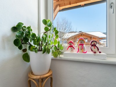 Apartment Apartment in Saalfelden near Ski Slopes - Outdoor photo 37