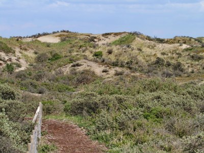 Holiday house Duinrust 1 - Environment photo 17