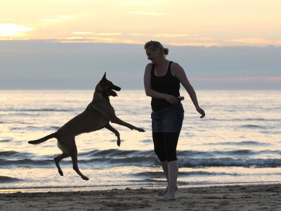 Holiday house Duinrust 1 - Environment photo 20
