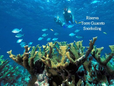 Villa Stella Cadente with private pool, fenced garden, 4km beaches - Environment photo 38