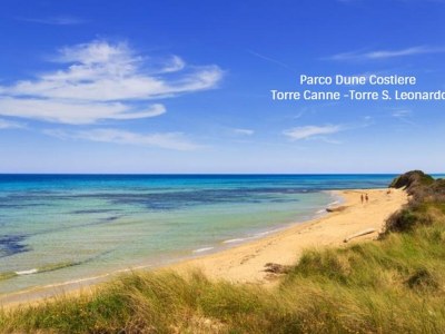 Villa Stella Cadente with private pool, fenced garden, 4km beaches - Environment photo 40