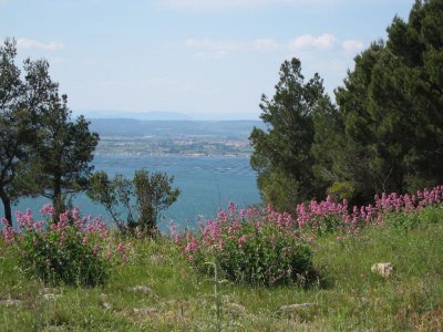 Holiday apartment Guesthouse Sandeh - Environment photo 12