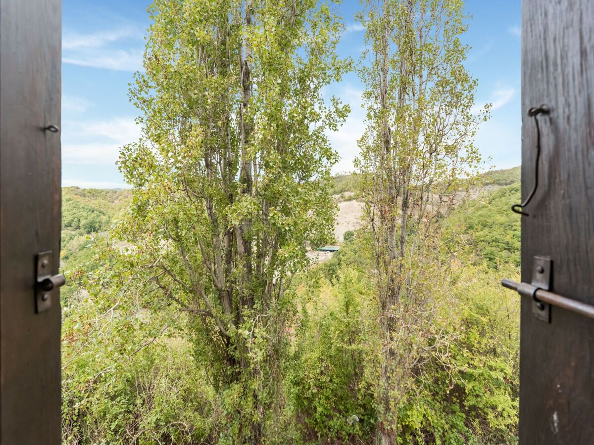 Holiday house Apartment with swimming pool near the forest - Outdoor photo 2