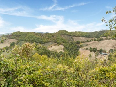 Holiday house Apartment with swimming pool near the forest - Outdoor photo 18