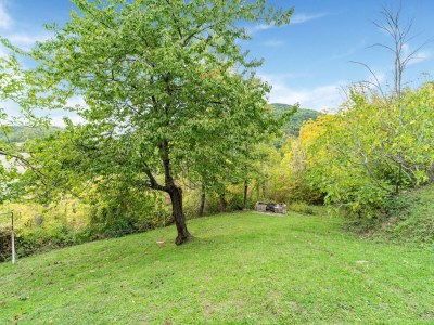 Holiday house Apartment with swimming pool near the forest - Outdoor photo 19