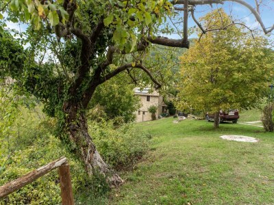 Holiday house Apartment with swimming pool near the forest - Outdoor photo 20