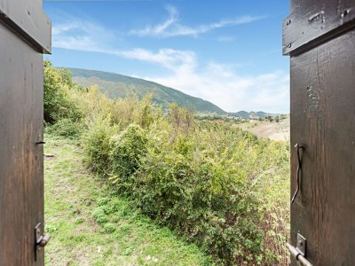 Holiday house Apartment with swimming pool near the forest - Outdoor photo 21