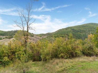 Holiday house Apartment with swimming pool near the forest - Outdoor photo 22