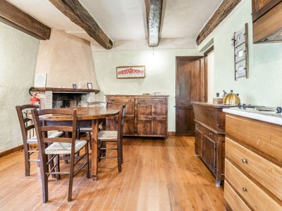 Holiday house Apartment with swimming pool near the forest - Features photo 25