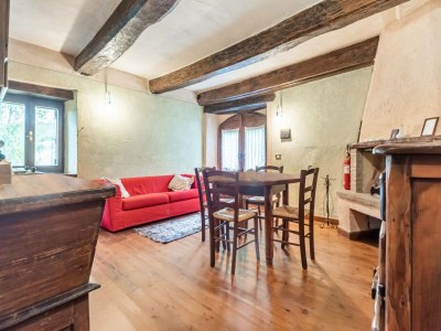 Holiday house Apartment with swimming pool near the forest - Features photo 39