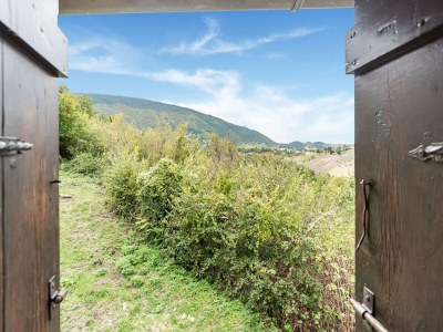 Holiday house Cozy cottage with pool in Assisi - Outdoor photo 14