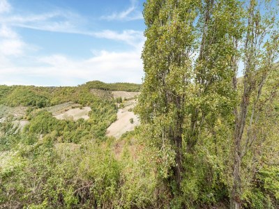 Holiday house Cozy cottage with pool in Assisi - Outdoor photo 15