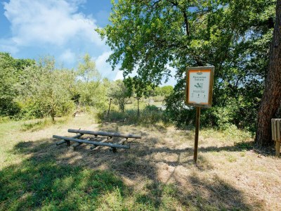 Holiday house Wohnung in Castiglione am Trasimenischen See - Outdoor photo 7
