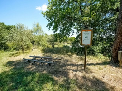 Holiday house Apartment in Castiglione near Lake Trasimeno - Outdoor photo 9