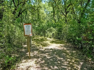 Holiday house Apartment in Castiglione near Lake Trasimeno - Environment photo 27