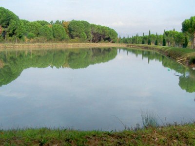 Holiday house Apartment in Castiglione near Lake Trasimeno - Outdoor photo 36