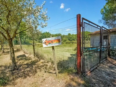 Holiday house Apartment in Castiglione near Lake Trasimeno - Outdoor photo 37