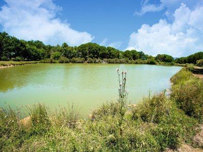 Holiday house Apartment in Castiglione near Lake Trasimeno - Environment photo 32