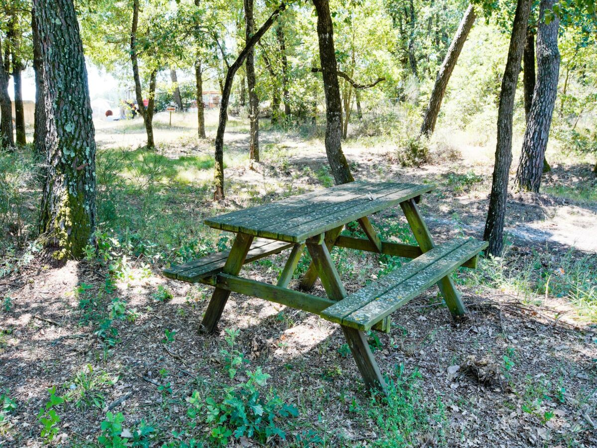 Holiday house Wohnung in Castiglione am Trasimeno-See - Outdoor photo 5