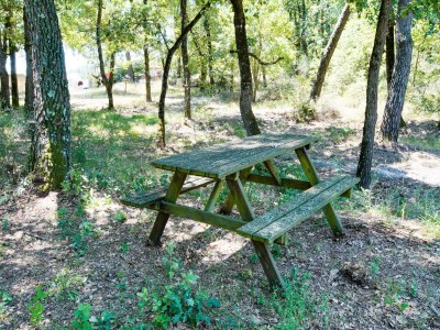 Holiday house Wohnung in Castiglione am Trasimeno-See - Outdoor photo 5