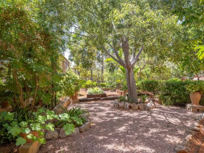 Villa Can Toni Gat - Outdoor photo 52