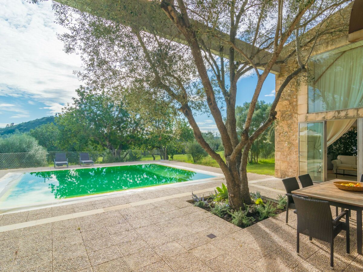 Villa Viterbo - Outdoor photo 5