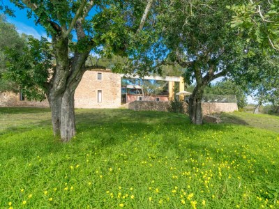 Villa Viterbo - Outdoor photo 13