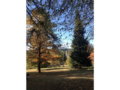 Holiday apartment Kleines Berghaus - Environment photo 28