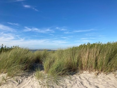 Holiday house Kering - de Banjaard - Outdoor photo 13