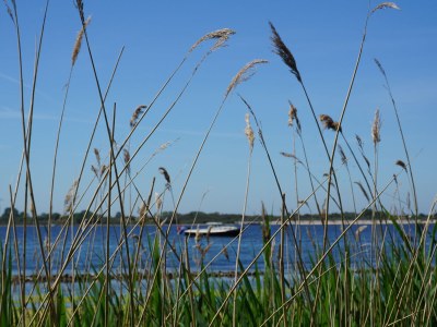 Holiday house Kering - de Banjaard - Environment photo 36