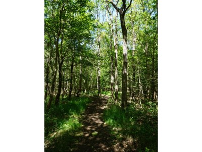 Holiday house Kering - de Banjaard - Environment photo 37