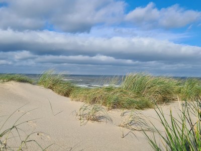 Holiday house SP 19 - Environment photo 19