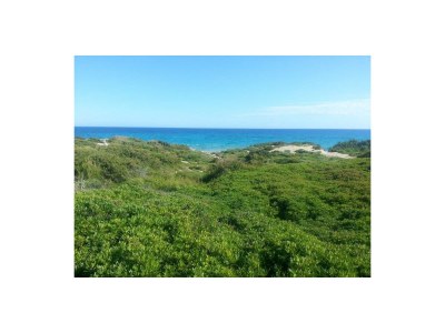 Villa Paradiso Ionico JR - Environment photo 34