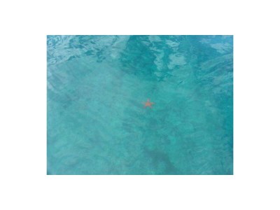 Villa Paradiso Ionico JR - Environment photo 36