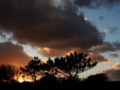 Holiday house Apartment Sunny Site - Environment photo 15