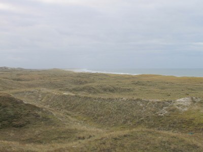 Holiday house Apartment Sunny Site - Environment photo 18